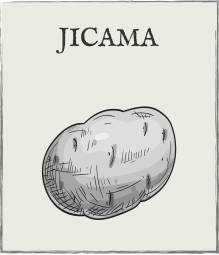 Jump down to Jicama growing guide