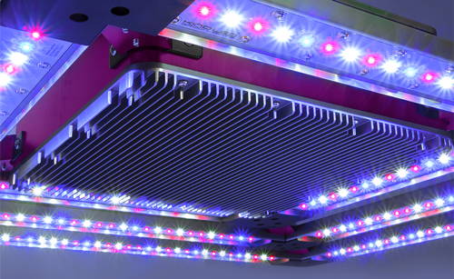 This KIND LED grow light has a complete targeted spectrum, perfect for flowering plants.