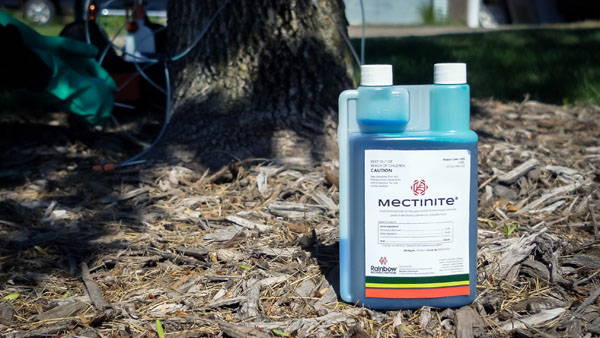 Mectinite and effective treatment for Emerald Ash Borer