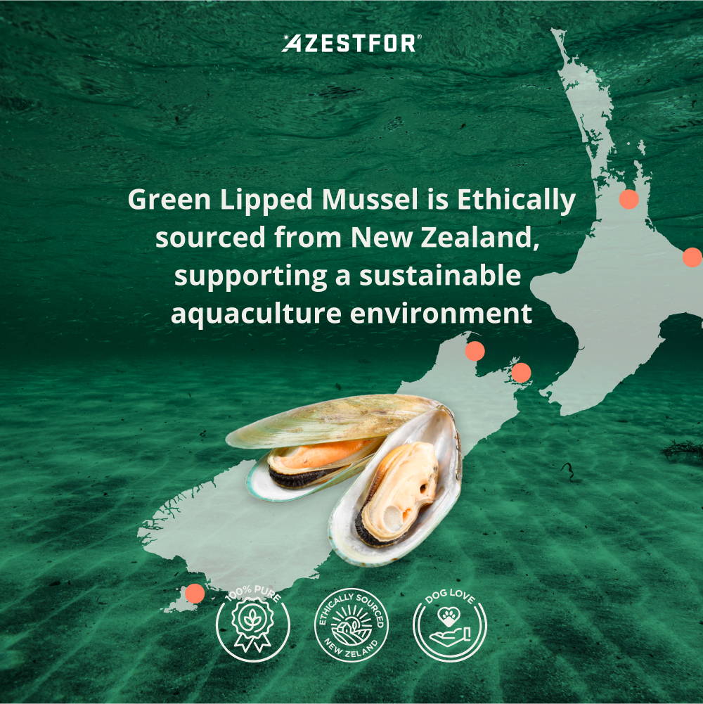 Azestfor Green Lipped Mussel for Dogs is Ethically sourced from New Zealand, supporting a sustainable aquaculture environment