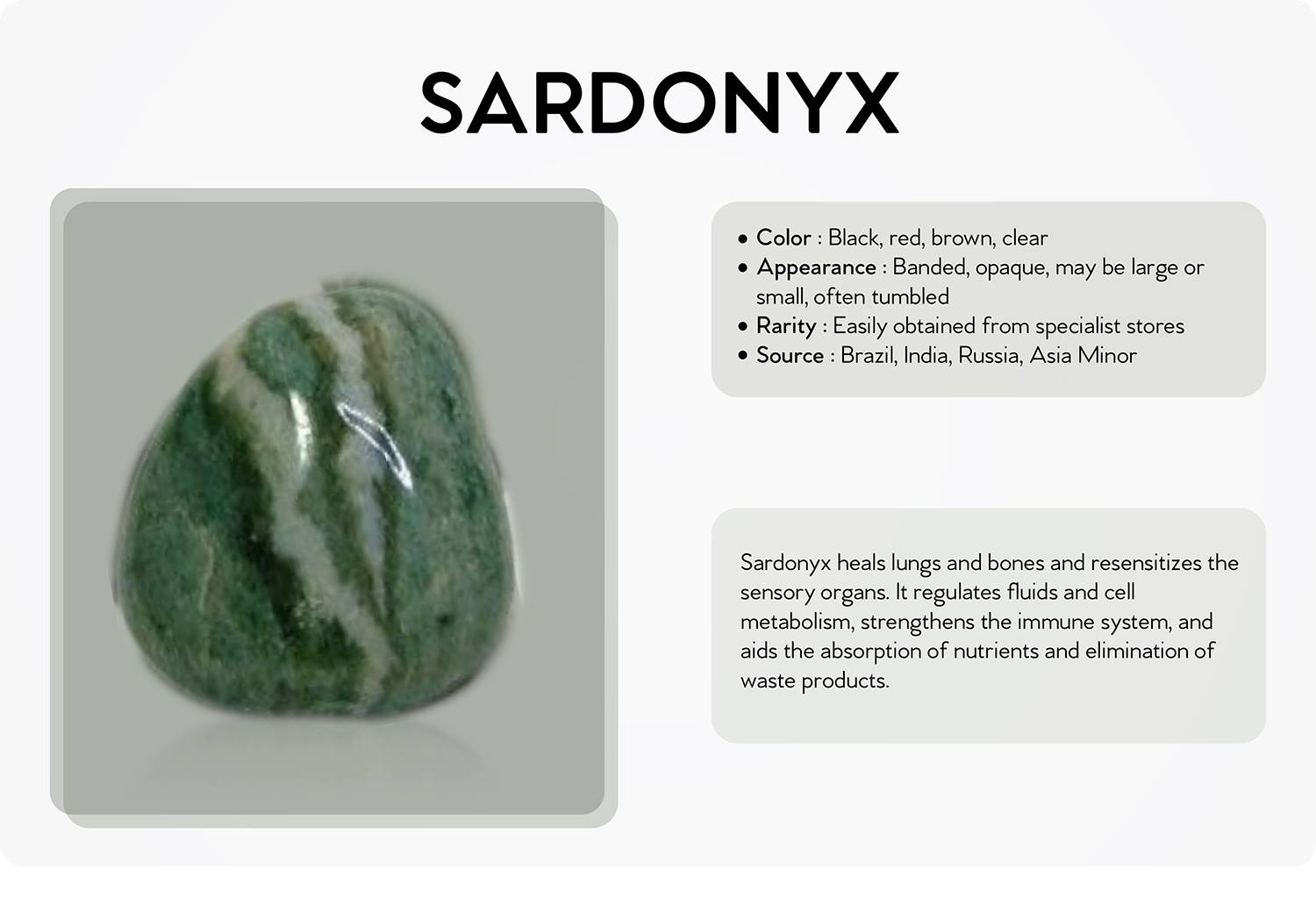 sordoyx
