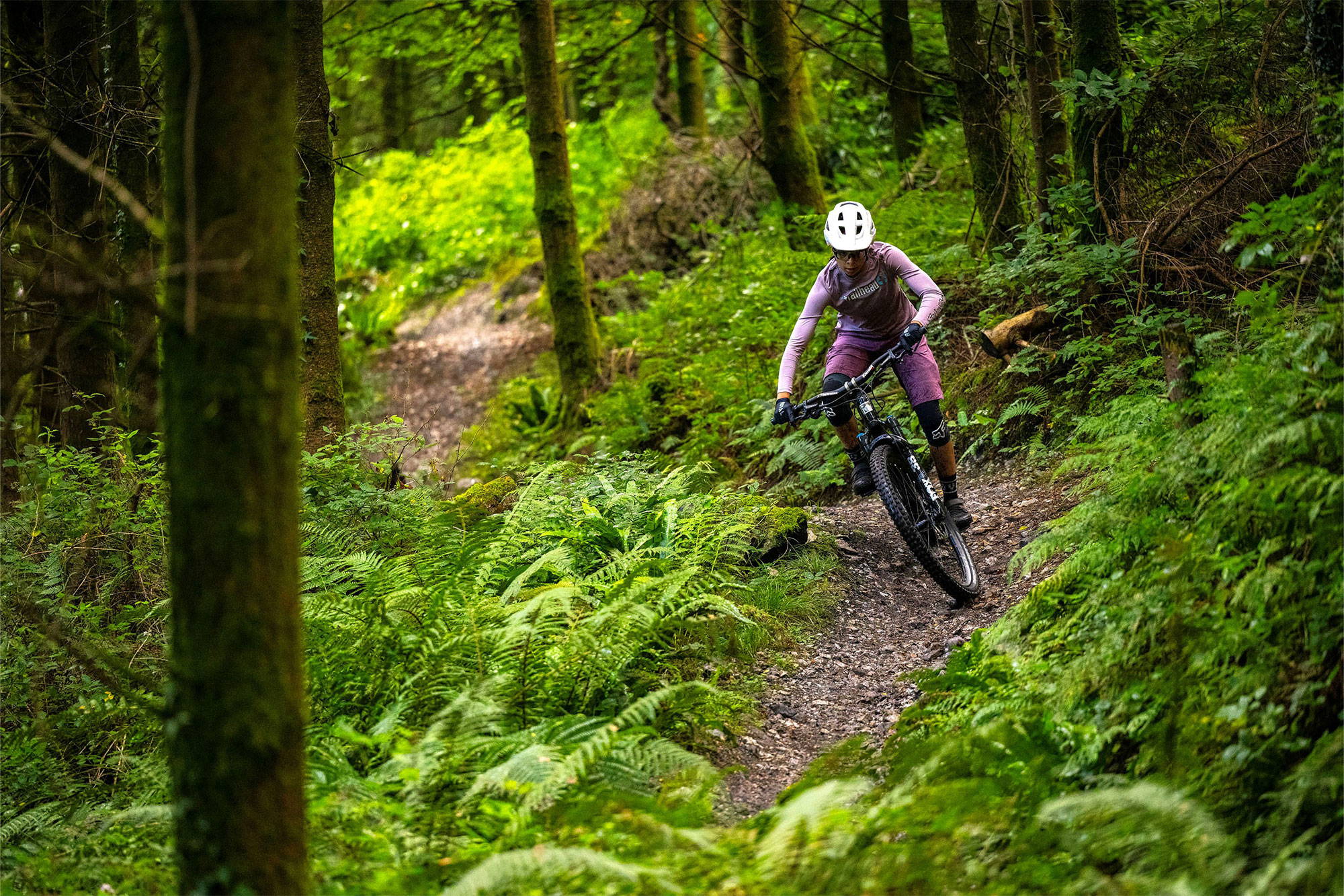 Amelia descending in the woods