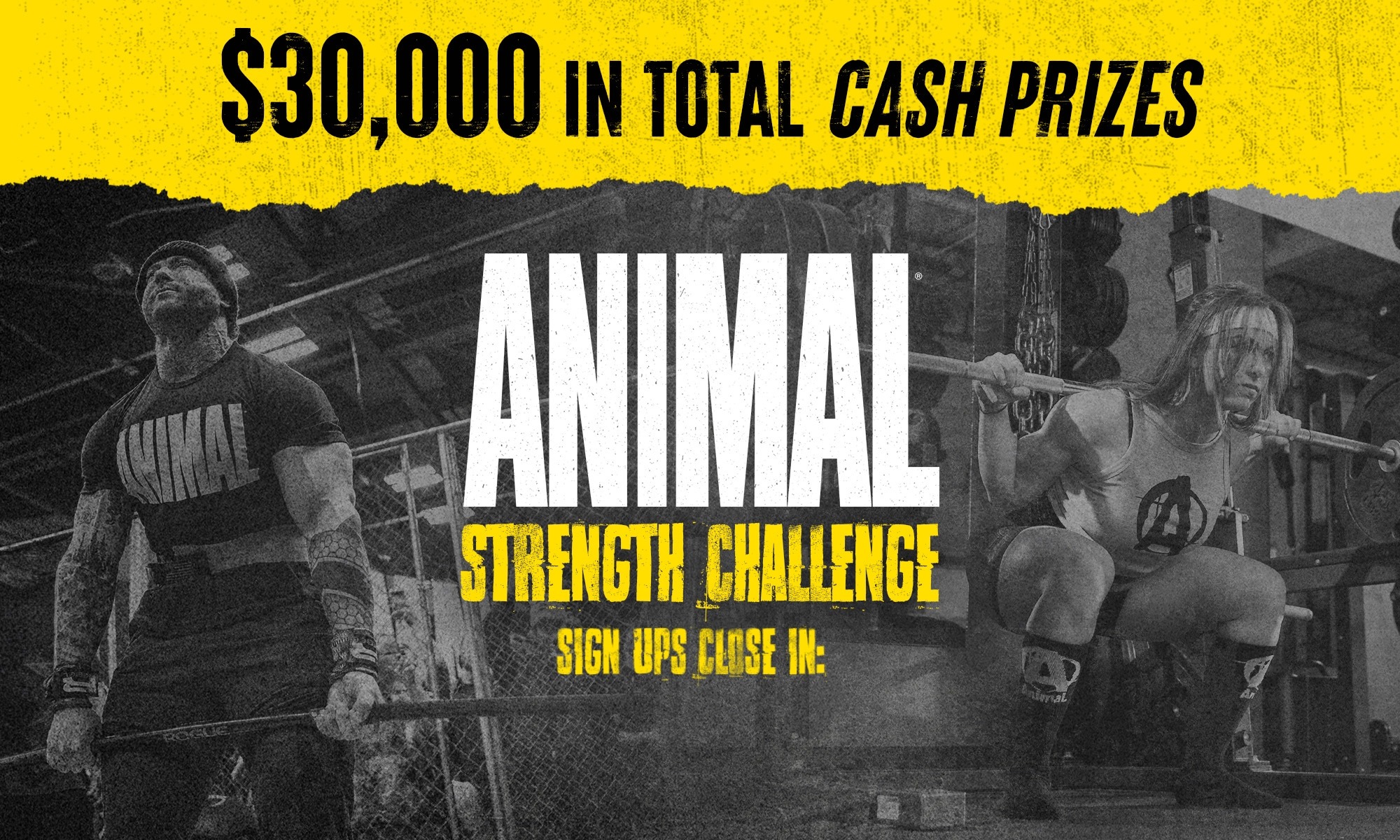 Animal Strength Challenge