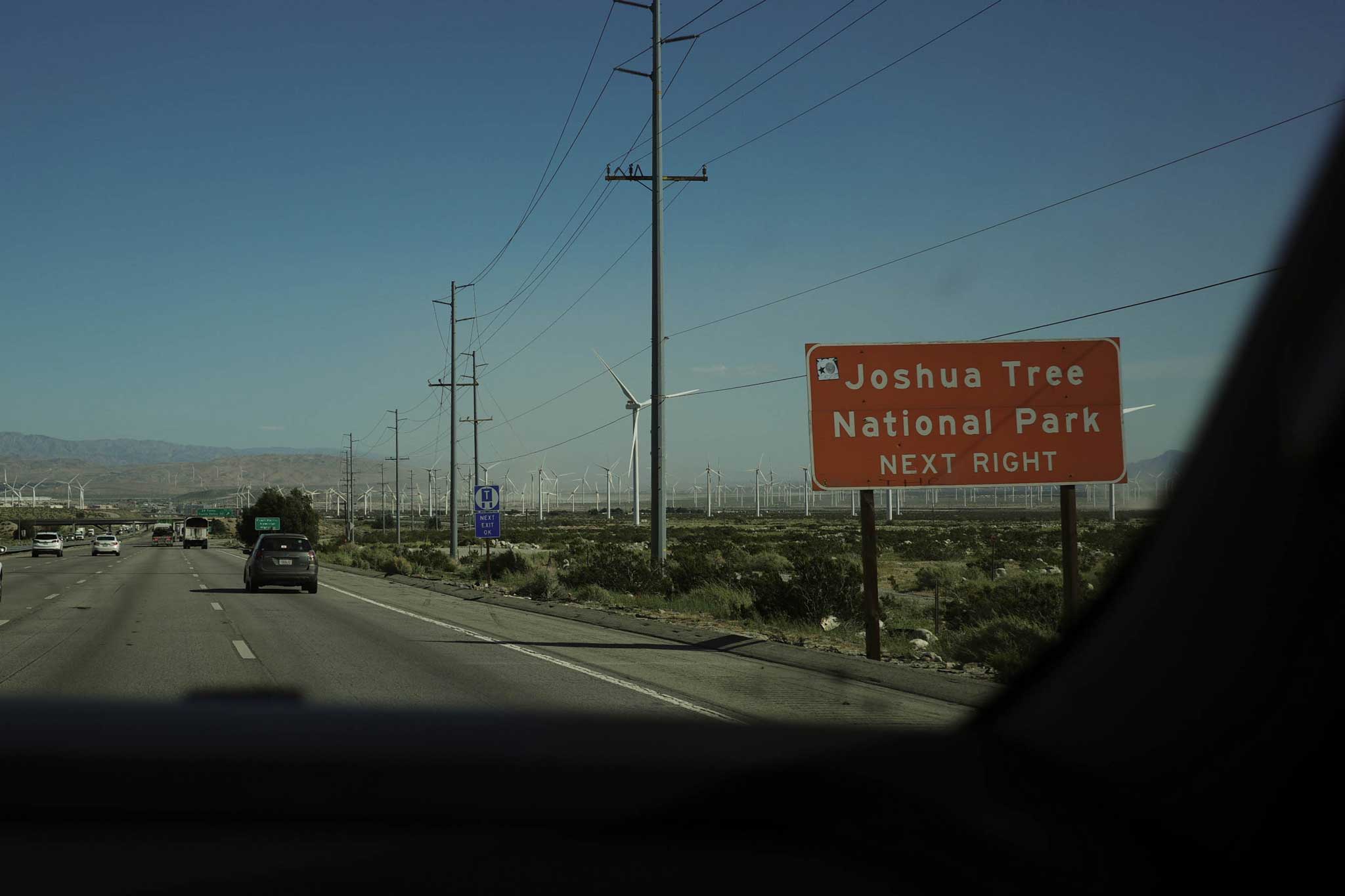 Joshua Tree Sign