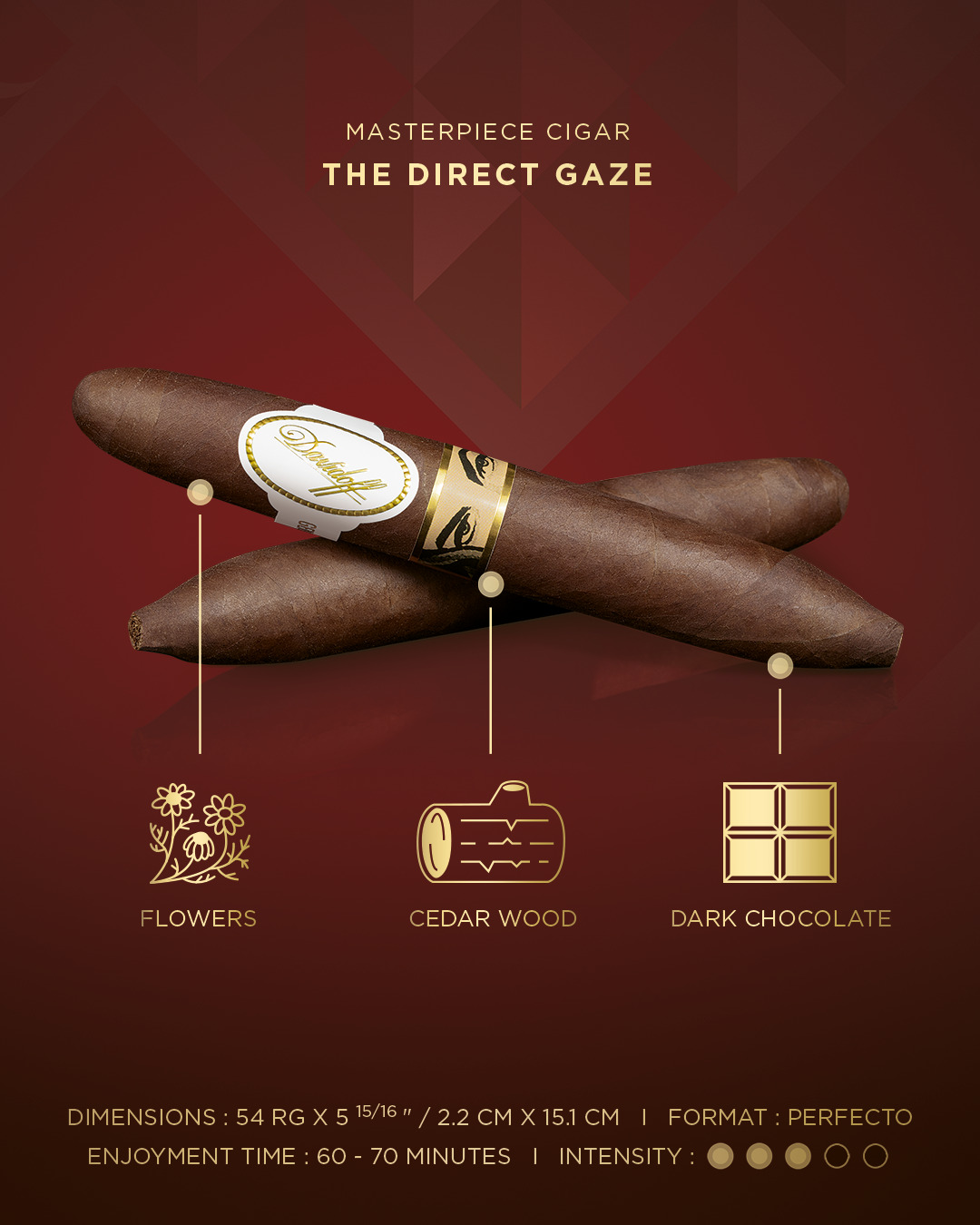 Two perfecto cigars which come with the Davidoff & Boyarde Masterpiece Humidor The Direct Gaze with blend details displayed, such as main aromas, enjoyment time and intensity.