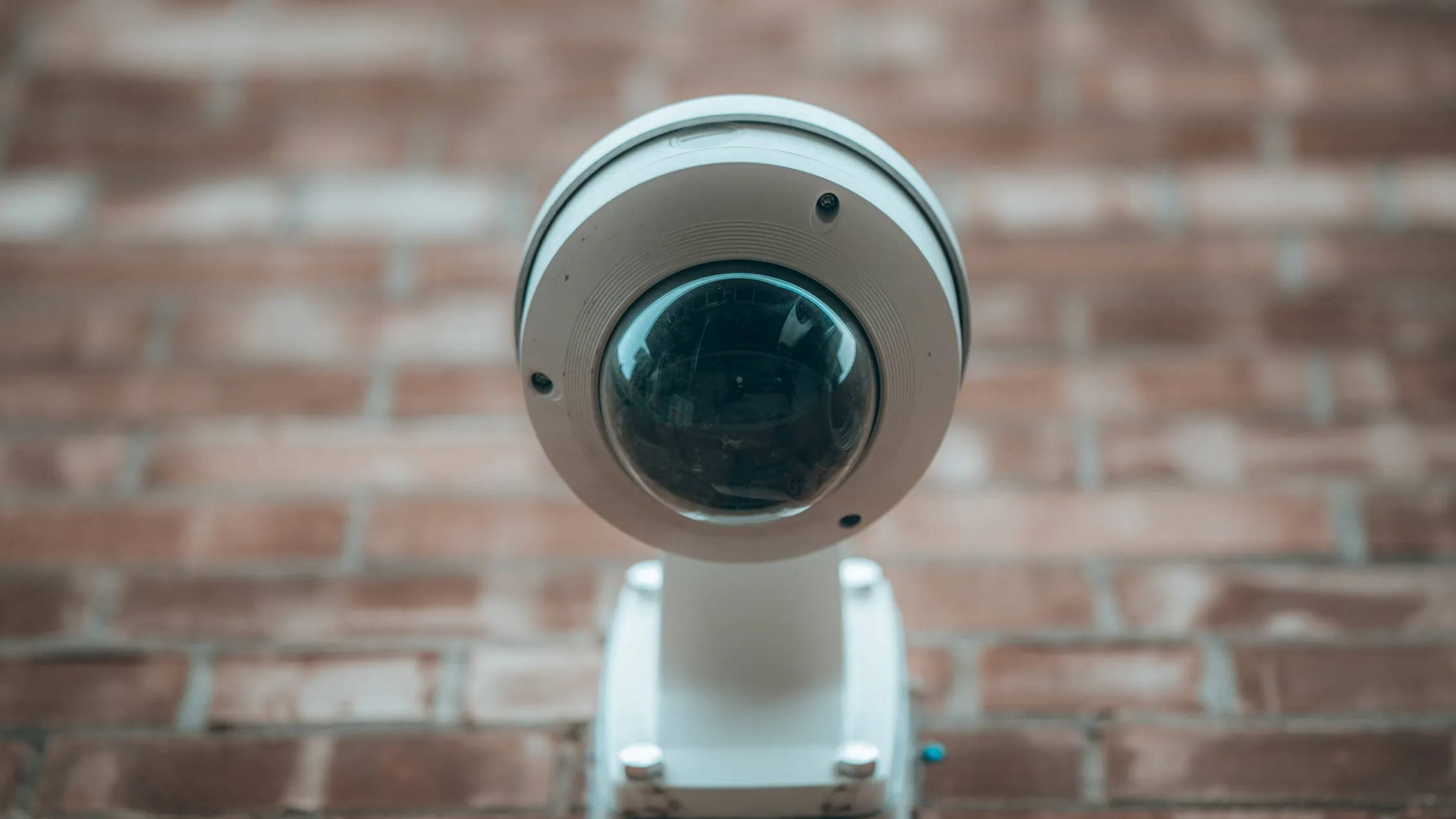 PTZ vs. Panoramic: Which is Best for You?