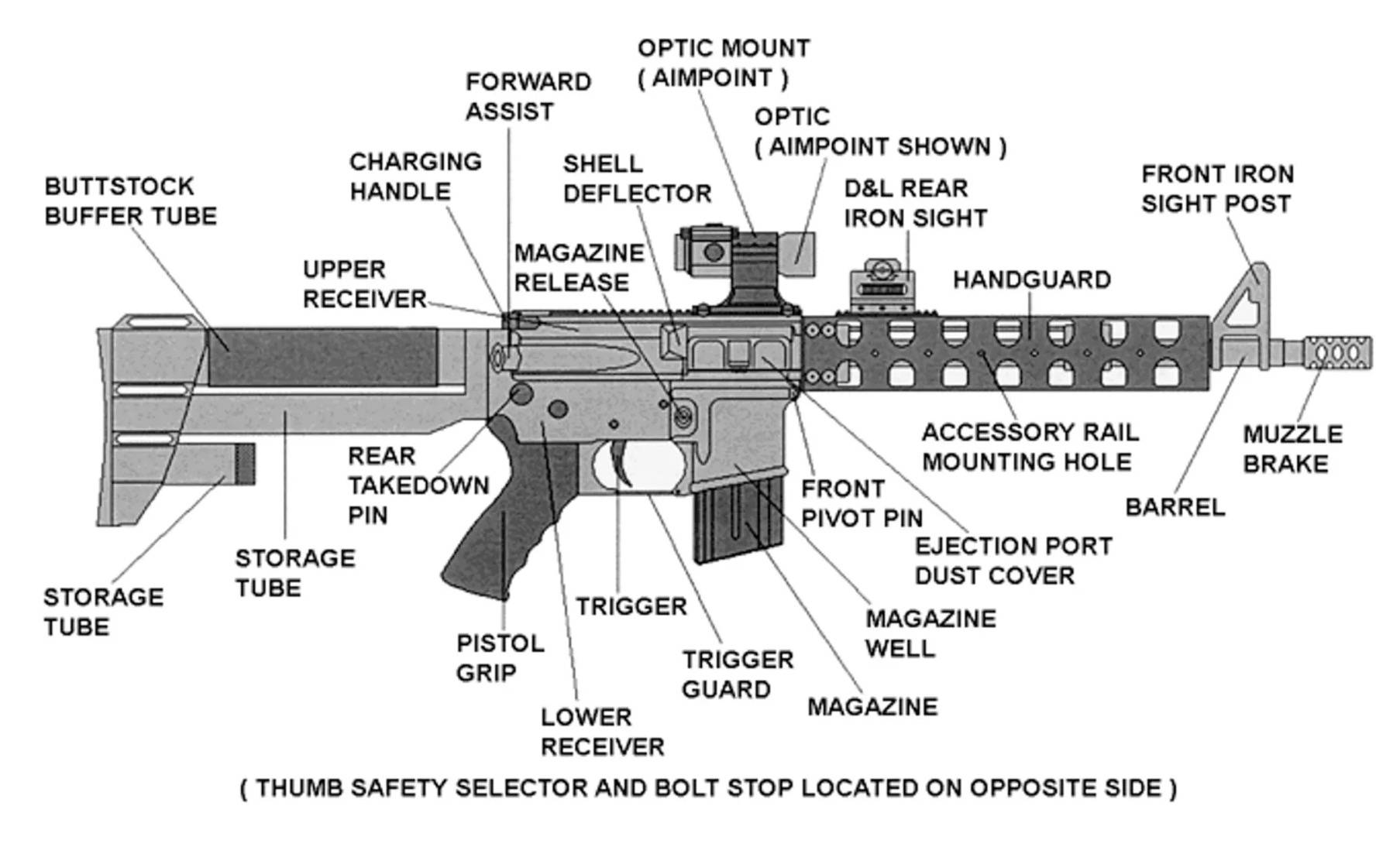 Diagram of AR-15 Rifle