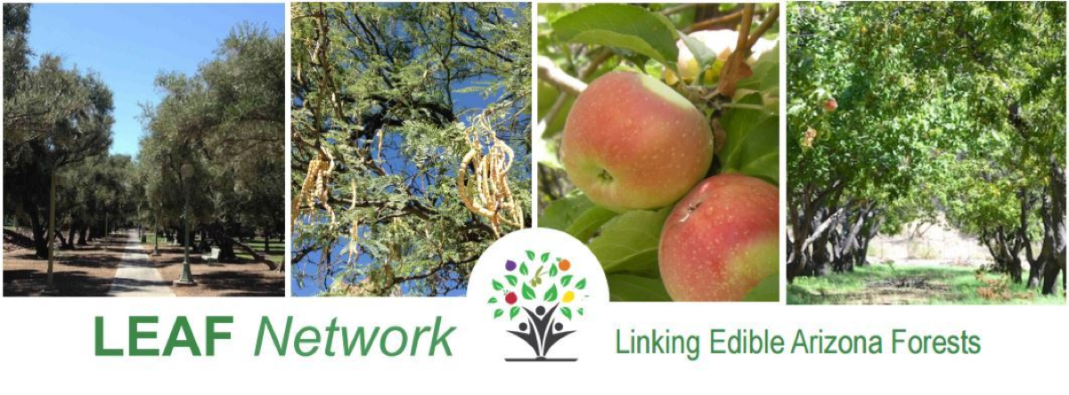 LEAFT Network logo Linking Edible Arizona Forests