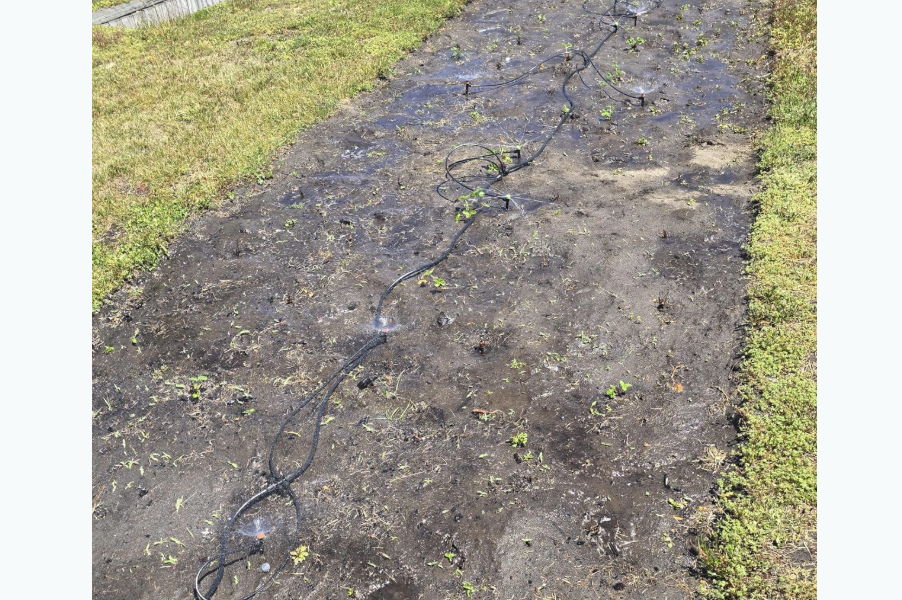 A muddy pathway with a black hose running through it.