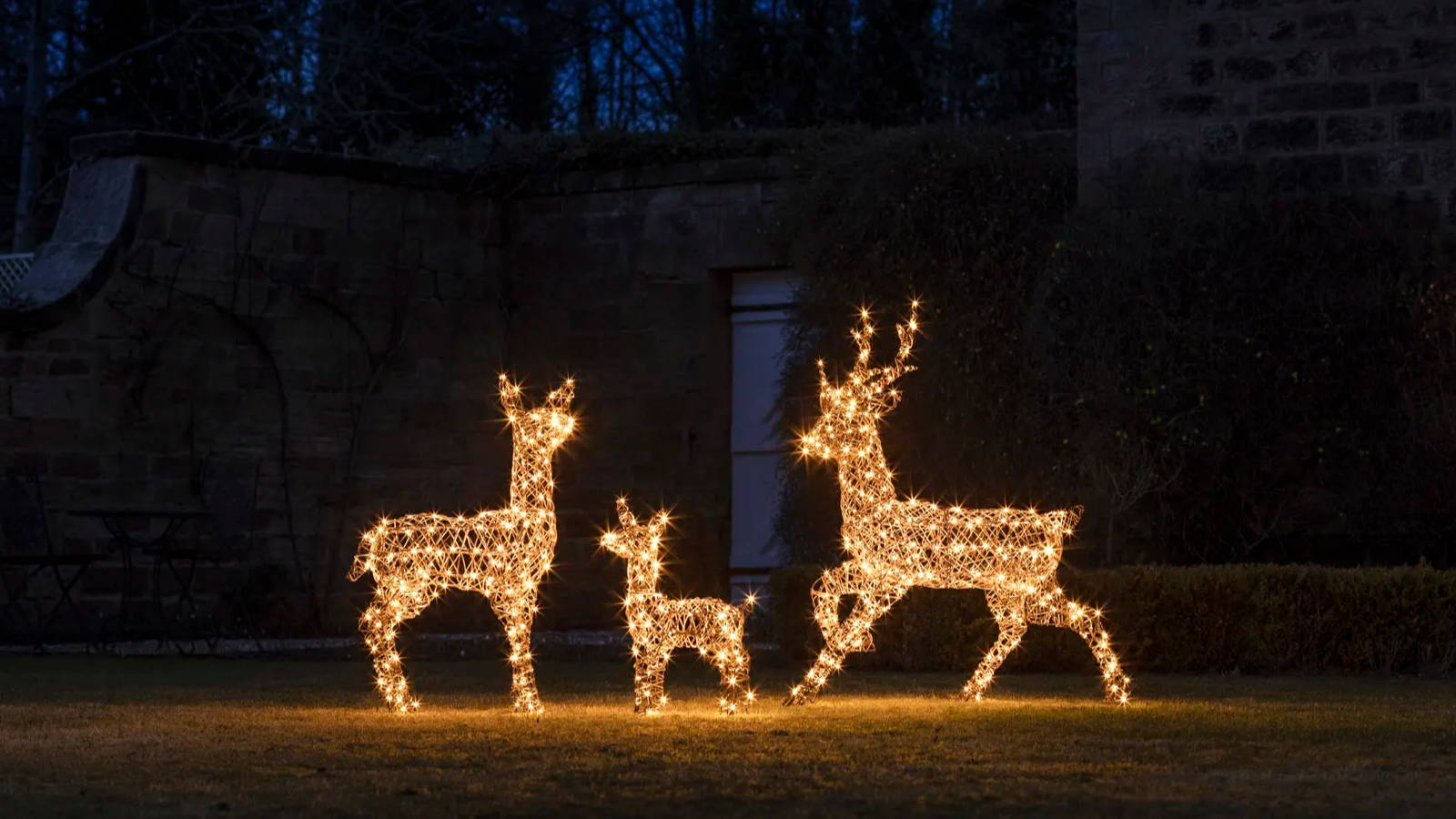 Family of light up reindeer in an outdoor garden setting .