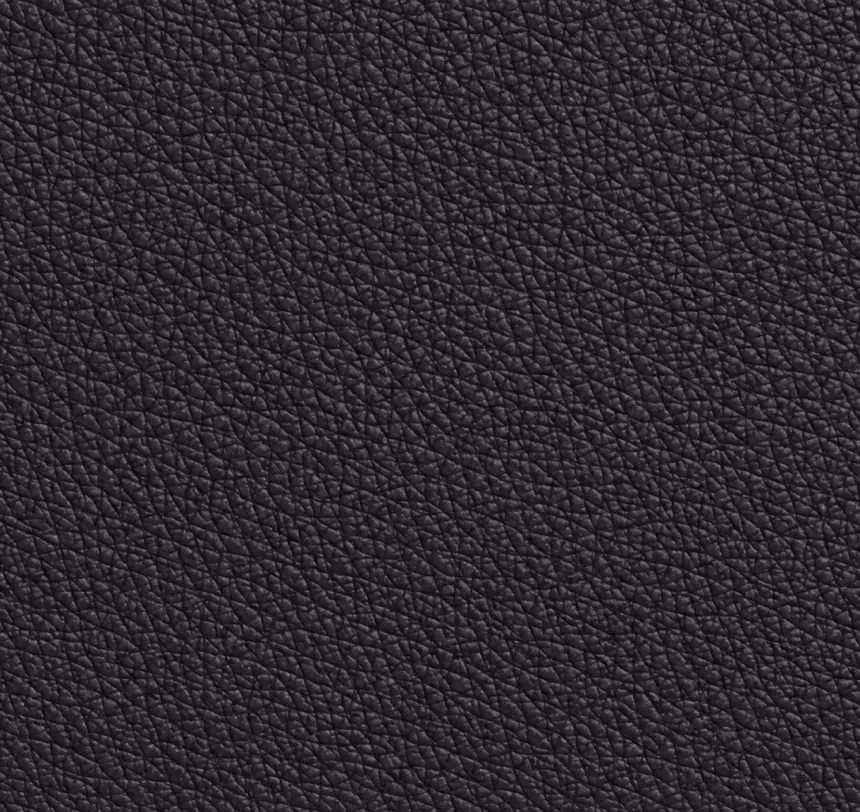 Close-up of textured dark leather surface.