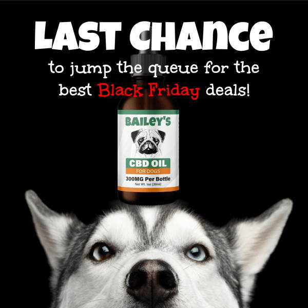 Bailey's CBD Black Friday Early Access deals email opt-in image