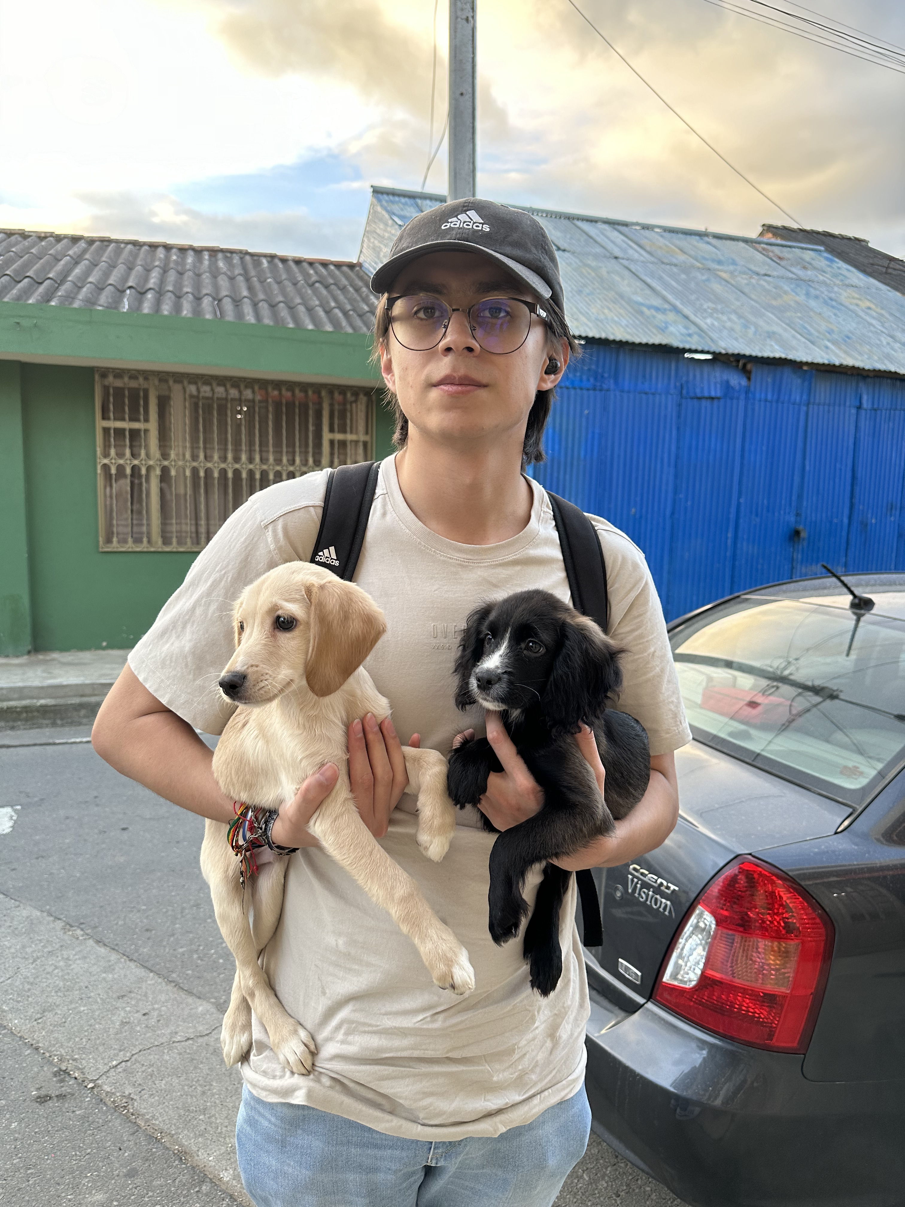 marcos with puppies