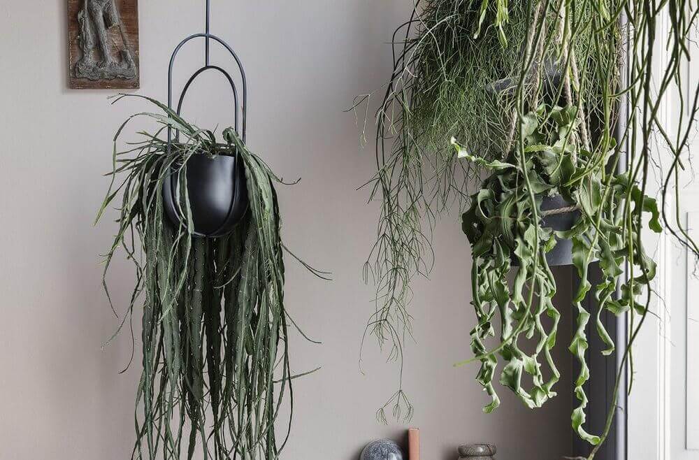 Hanging Deco Planter