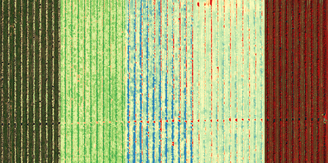 Synchronized thermal and multispectral capture