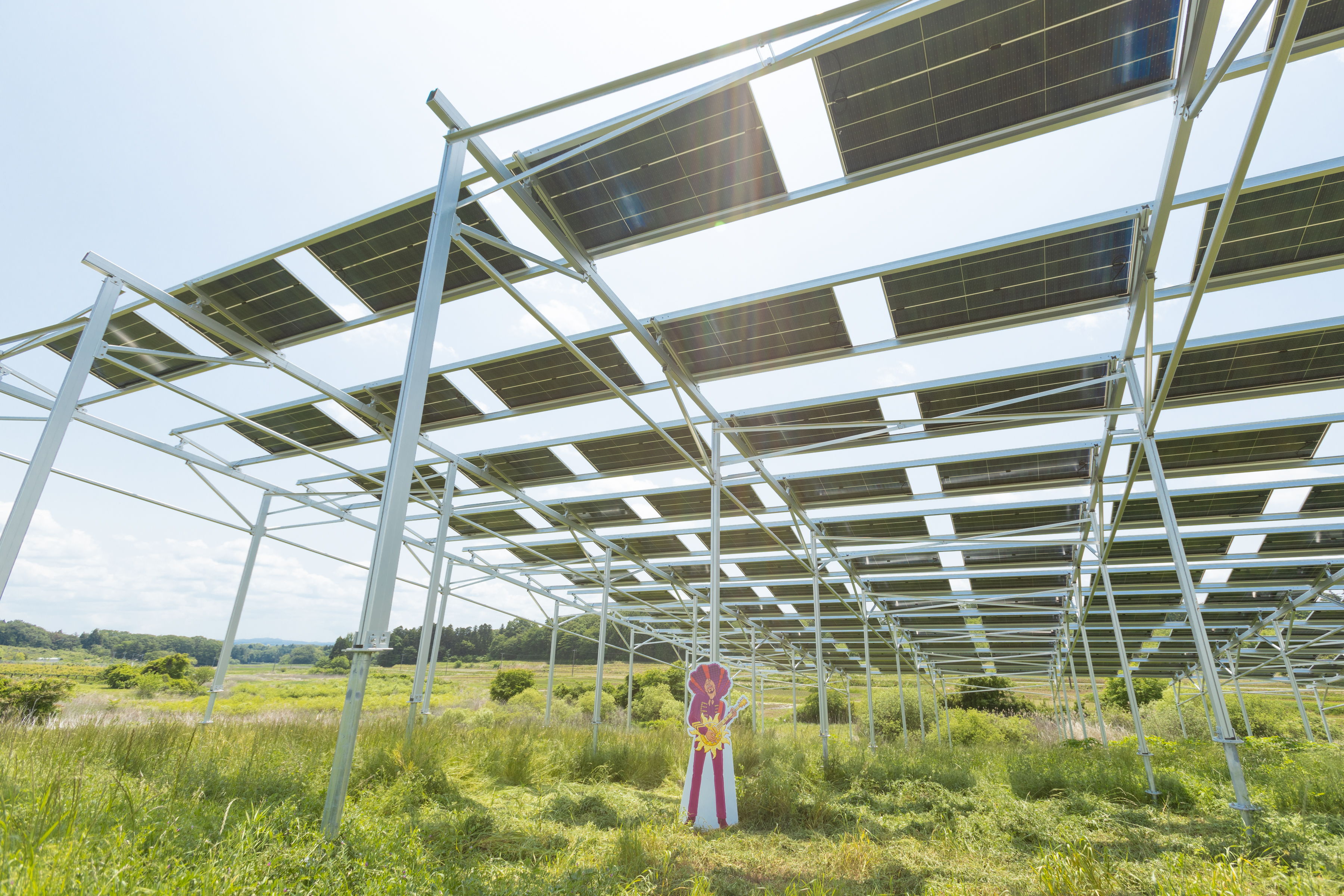 Person standing under solar panel structure in a grassy field.
