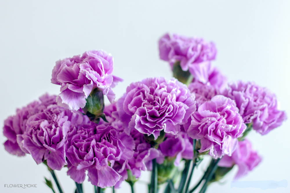 purple lavender wedding palette