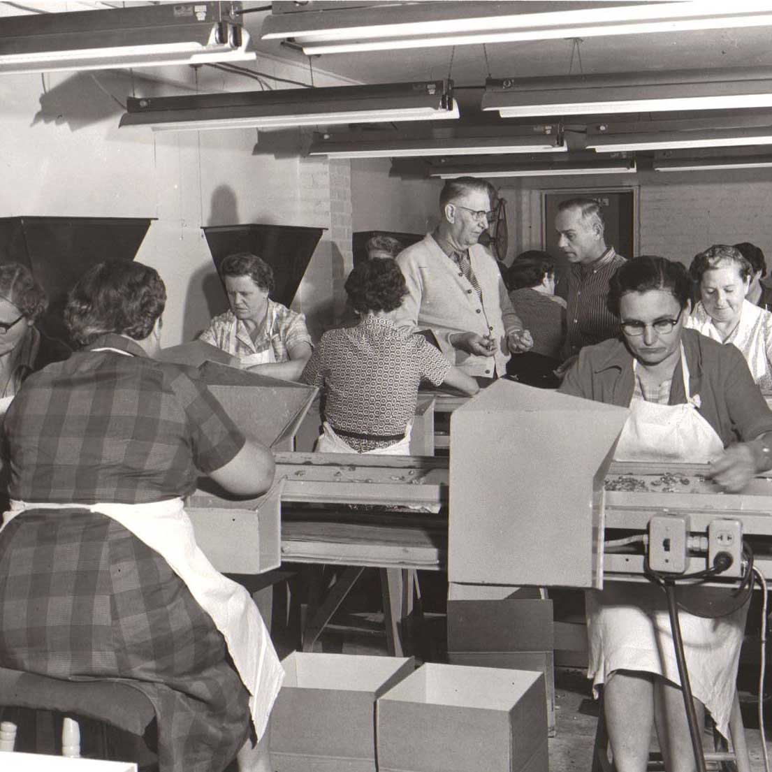 Ladies Sorting Pecans