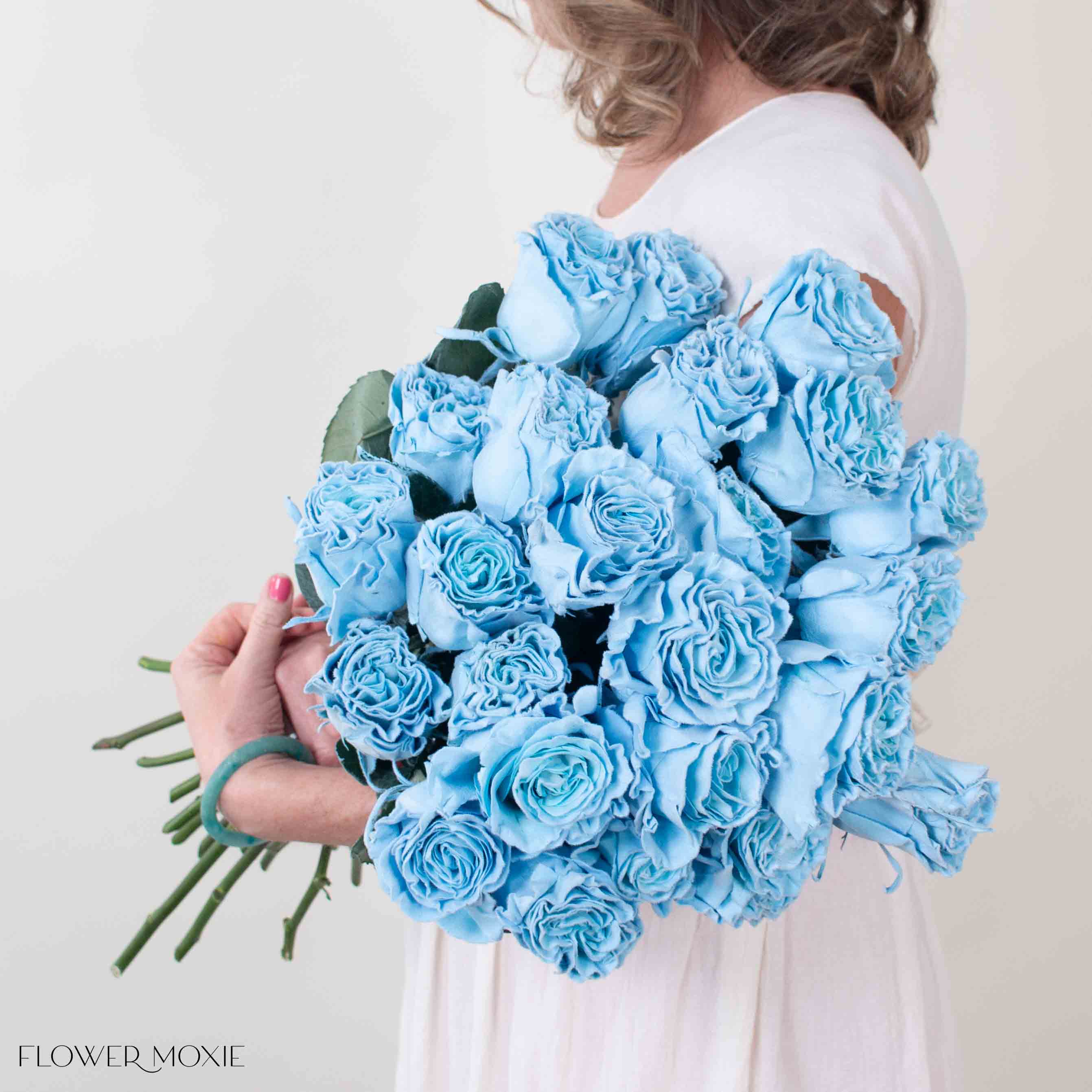 blue velvet tinted roses
