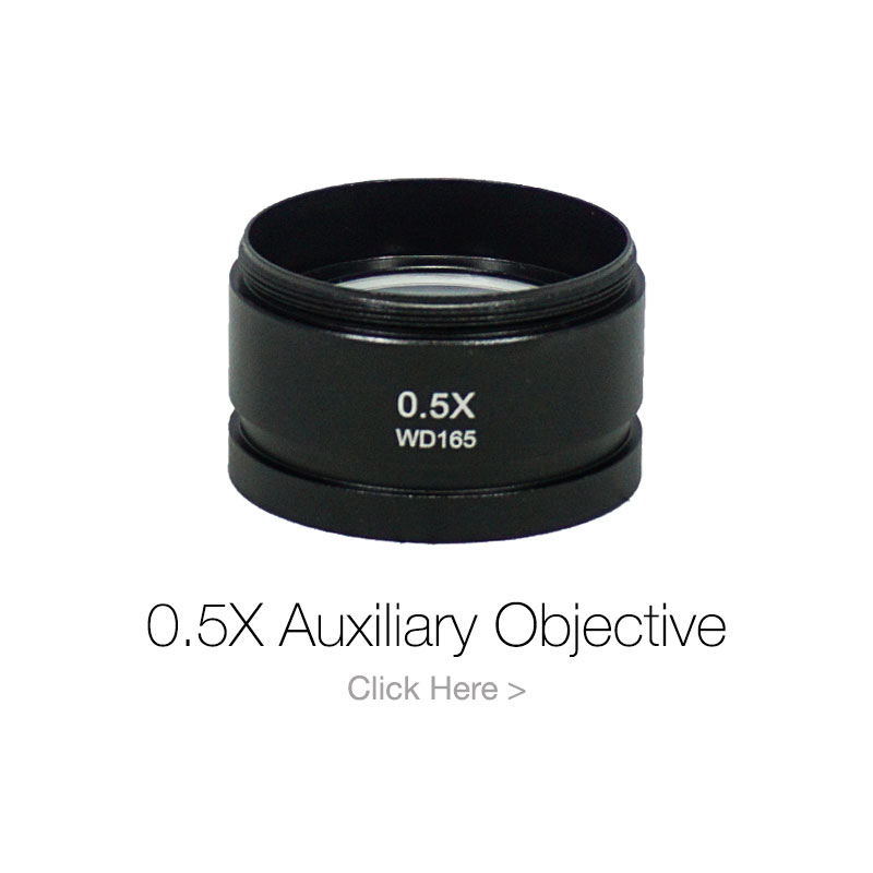 0.5X-auxiliary-objective