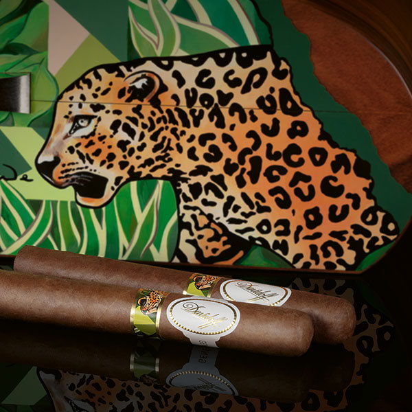 The Davidoff & Boyarde Masterpiece Humidor Instinctively with two toro cigars placed in front of it. 