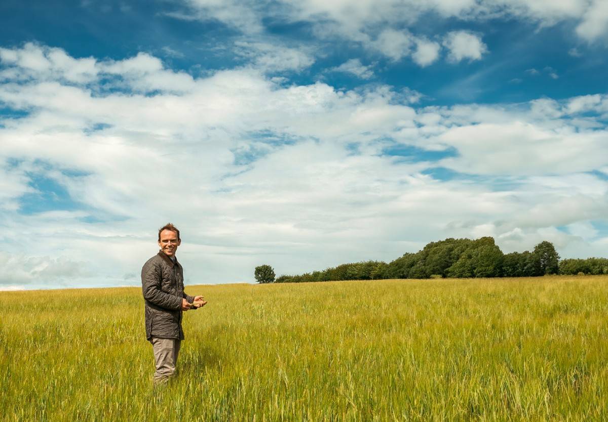 Felix James, Co-Founder of Small Beer, walking through a field of barley