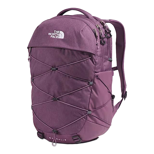 Purple backpack with straps and The North Face logo.