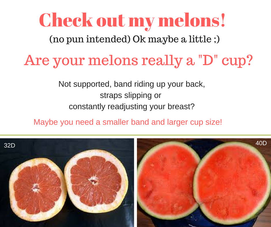 A chart to remind you that melon-titted ladies are actually only a D cup,  the maximum bra size 🙄 : r/bigboobproblems