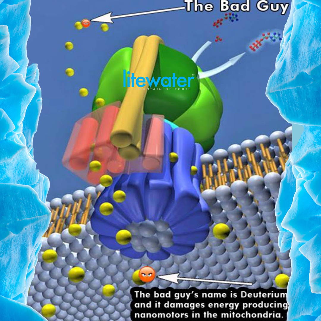 how deuterium damages mitochondria