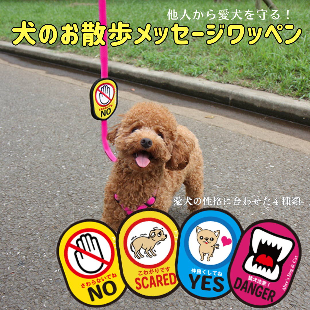 犬用 散歩用 イエローワッペン 4種類 NO, SCARD, DANGER, YES 愛犬を他人から守る 怖がりや吠えるなどのお悩みに