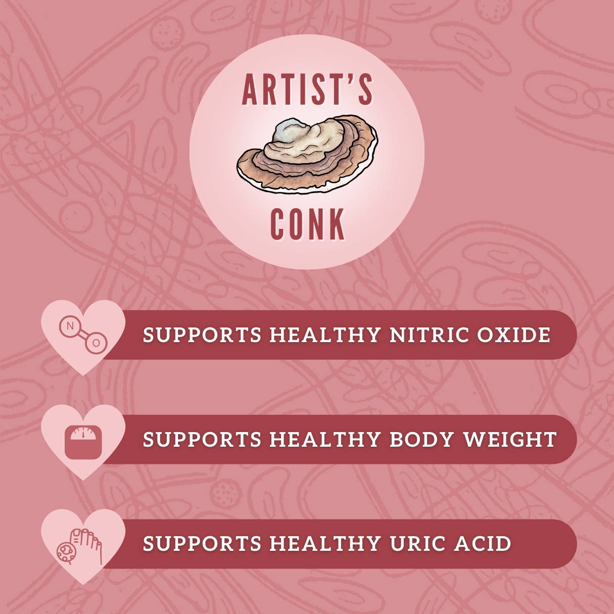 Artist's Conk mushroom infographic. Artist's Conk supports healthy nitric oxide, healthy body weight and healthy uric acid.