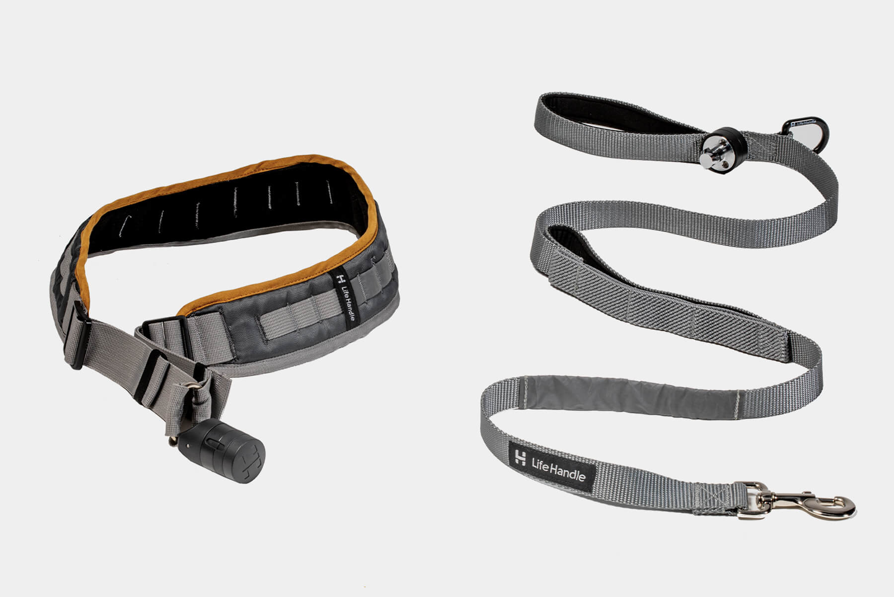 Best Dog Accessories For Summer: Collars, Leashes, and More