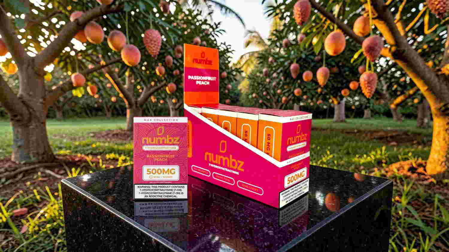 Boxes of product in a mango orchard with fruits hanging on trees.