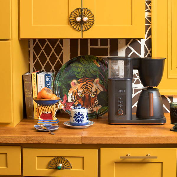 Specialty Drip Coffee Maker in Isabel Ladd's kitchen
