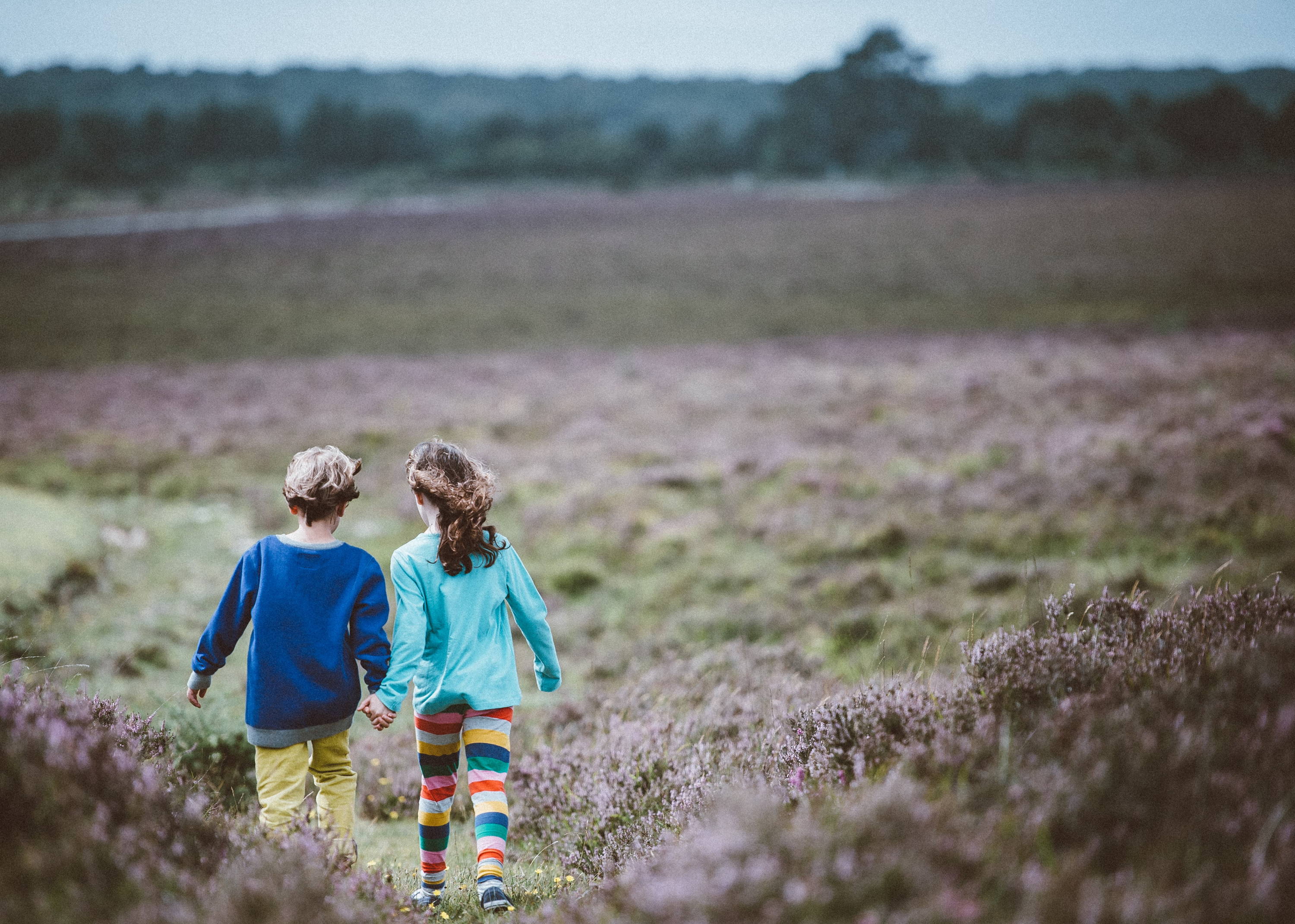 Twee kinderen, een meisje en jongen, lopen hand in hand langs over de hei. Het ziet eruit alsof ze op avontuur zijn.