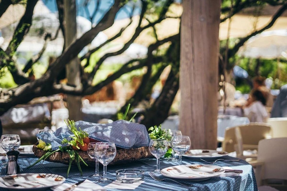 Table set for dining under trees in a restaurant.