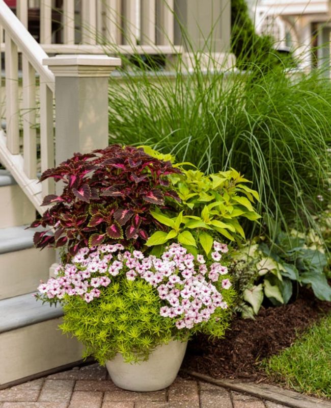 Photo of a planter in front of a house full of Graceful Grasses® Prince Tut™, Plum Dandy™, ColorBlaze® Torchlight®, ColorBlaze® Rediculous®, Diamond Snow®, Heart to Heart® White Wonder, Lemon Coral®