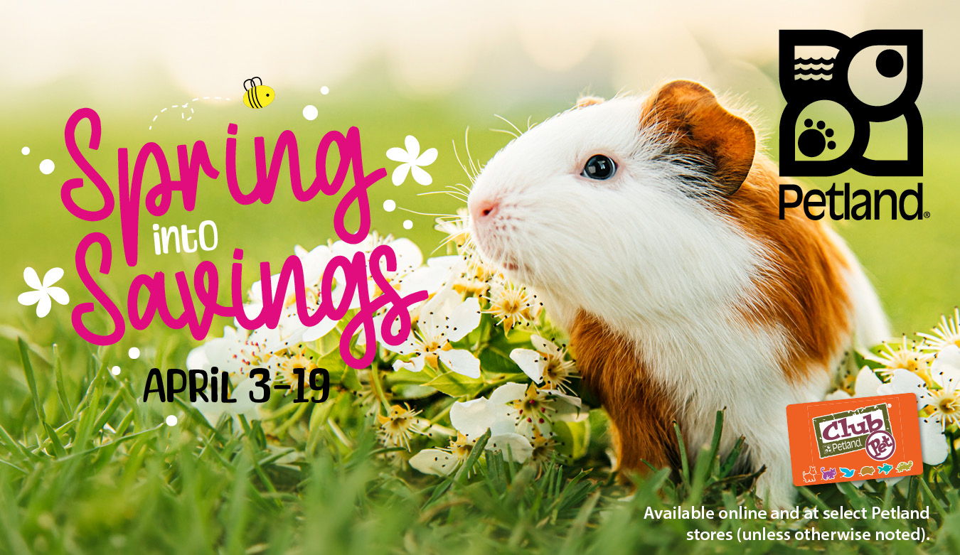 Spring into Savings available online and at participating Petland stores April 3 to 19, 2026 (unless otherwise noted), while supplies last.