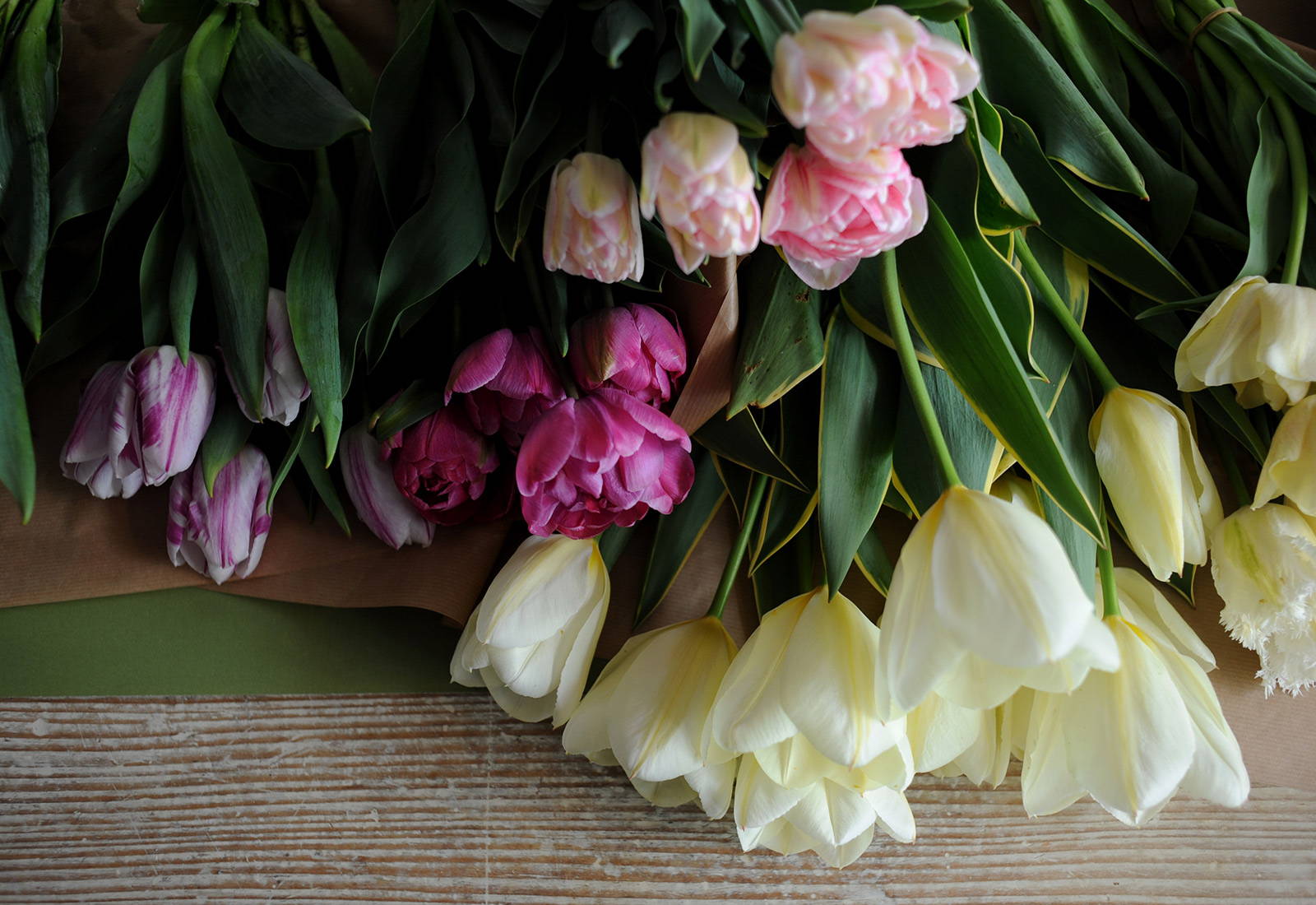 A bunch of tulips from Stem and Green.