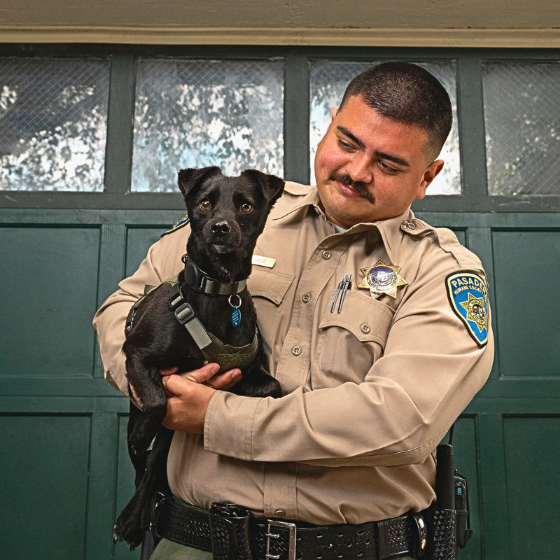 A police officer holding a small black dog.