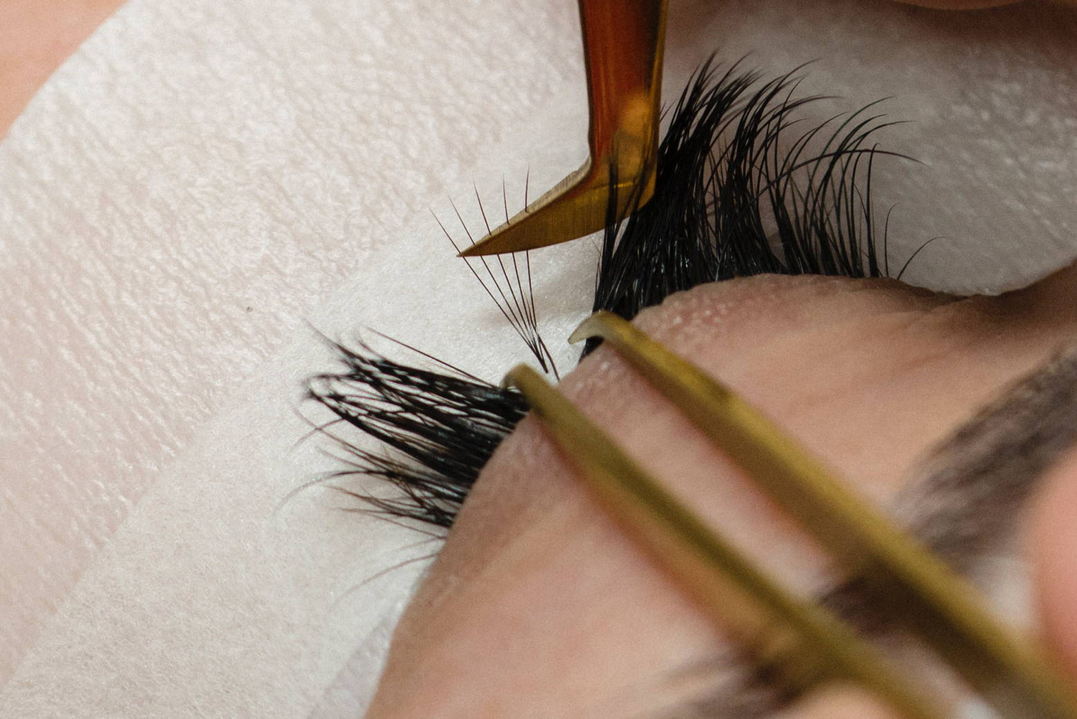 Everything You Need To Know About Pre-Made Volume Lash Extension Fans -  LashBeePro