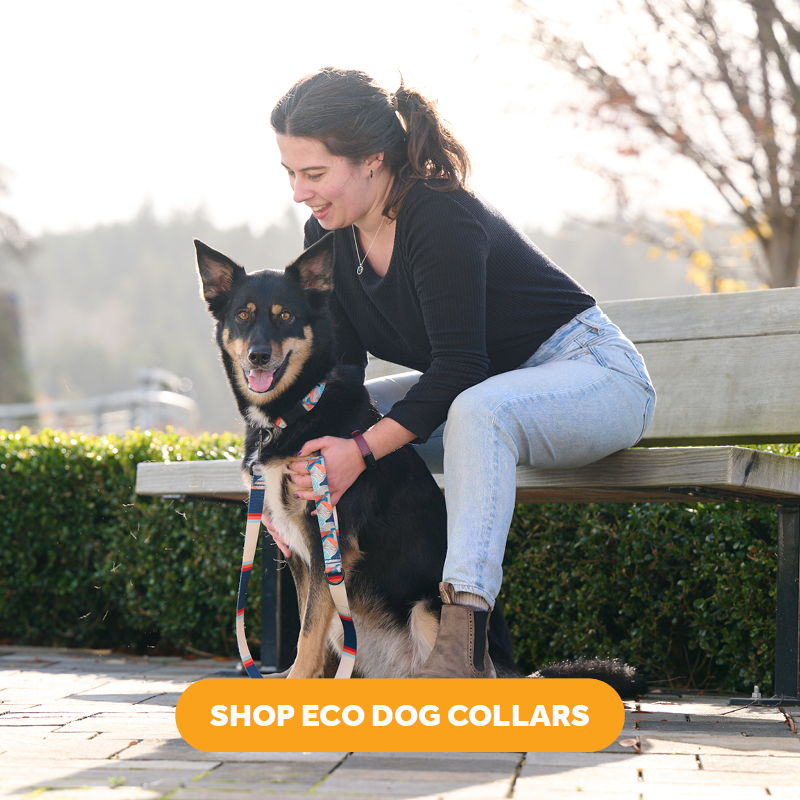 Woman sitting on a bench with a dog, promoting eco dog collars.
