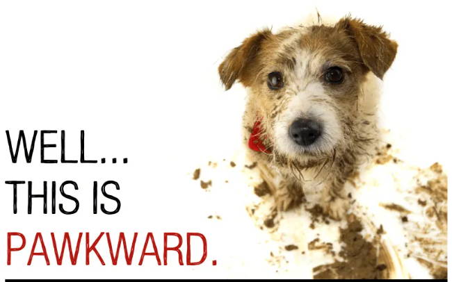 Photo of a muddy terrier dog with red and black text: Well... this is pawkward. 