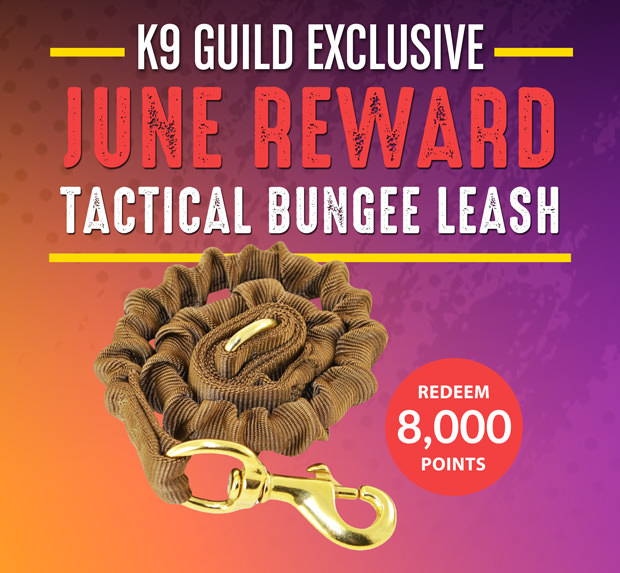 K9 Guild Exclusive - June Reward - Tactical Bungee Leash