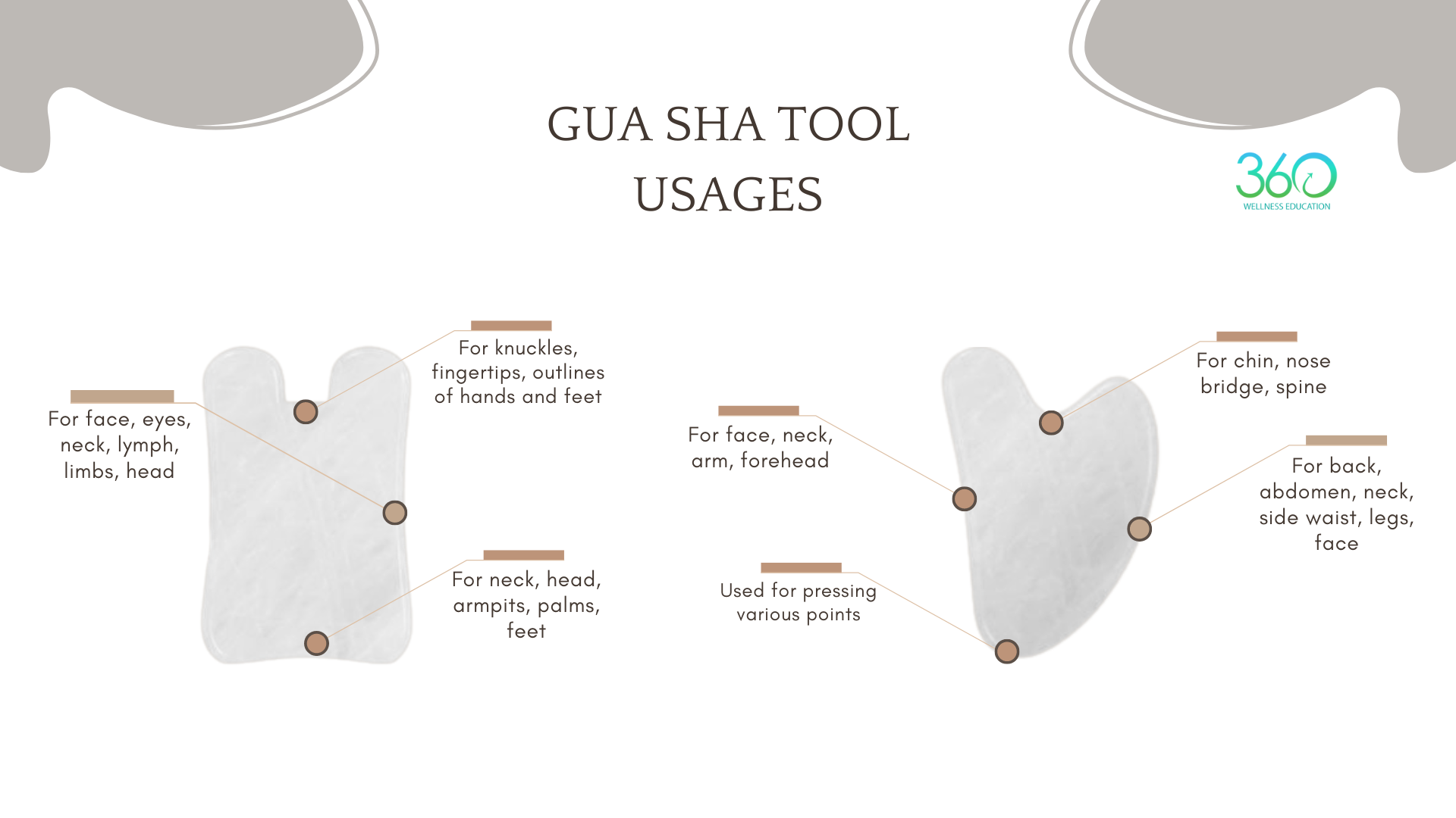 Gua Sha Tool Usages
