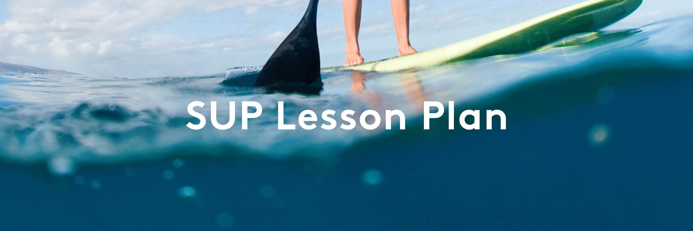 Stand up paddle boarding lesson la jolla, california
