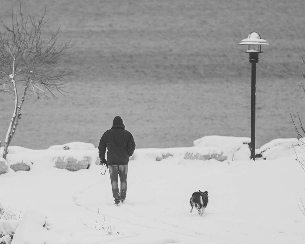 Black and white photo of a man and his dog walking in the snow