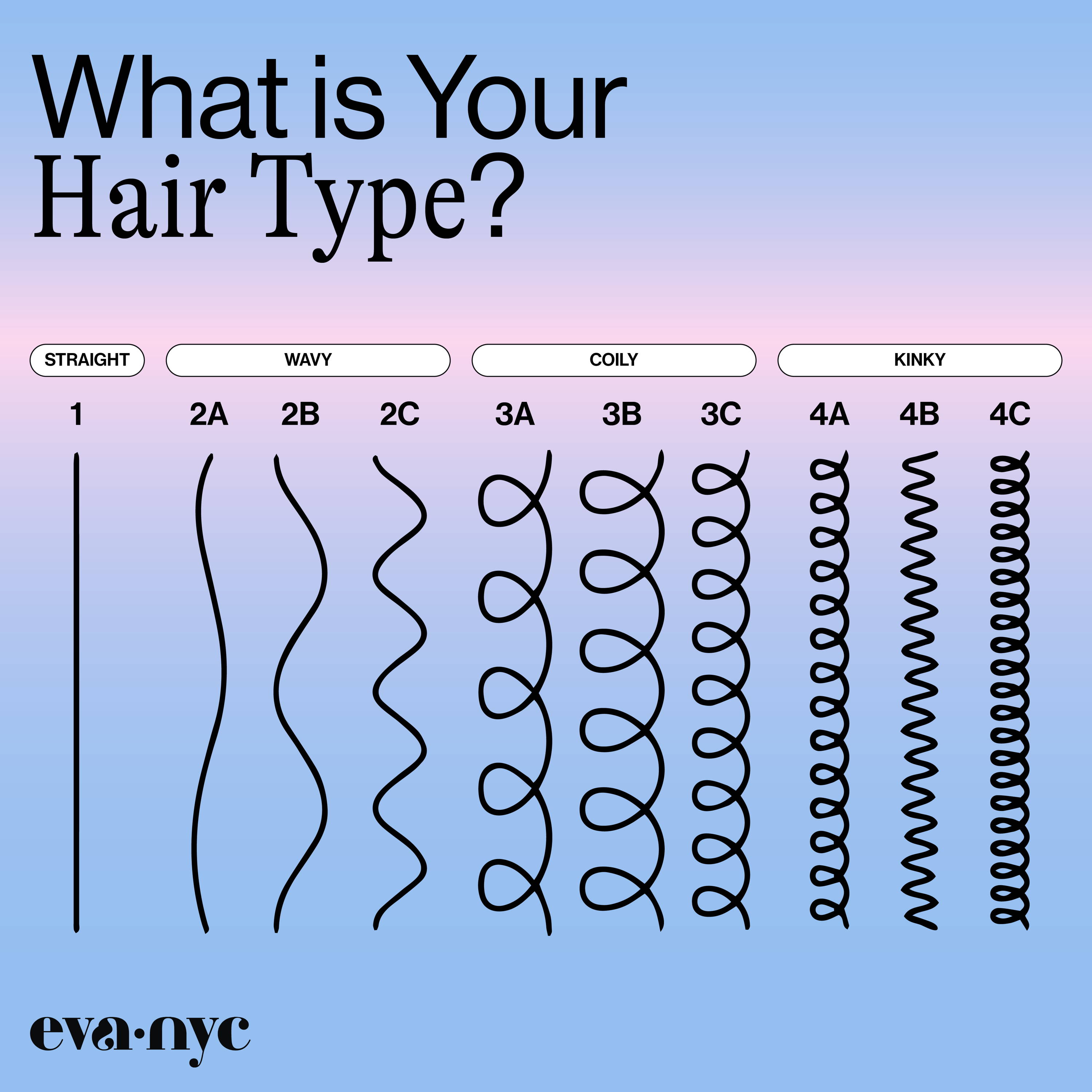 hair type chart