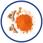 Turmeric of Pain Relief
