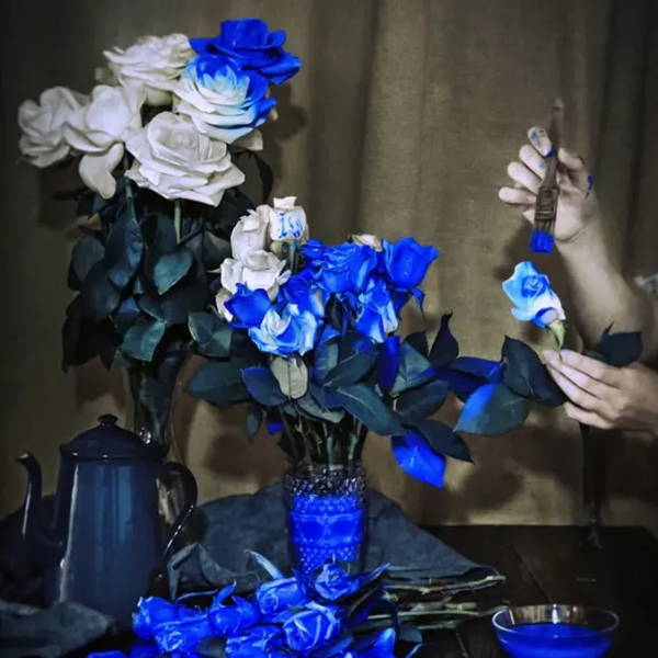 Still Life Wall Art Mineheart